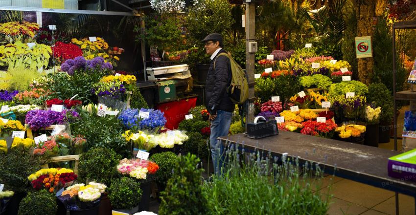 نمایشگاه های گل و گیاه معروف در تهران و ایران